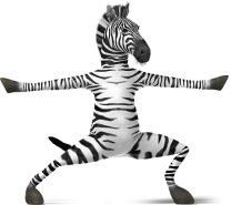 Zebra1's Avatar