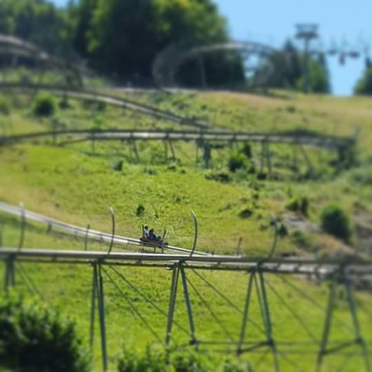 Name:  hasenhorn-rodelbahn. 11752052_1016606151713470_2057785639537992788_n.jpg
Views: 8053
Size:  27.5 KB