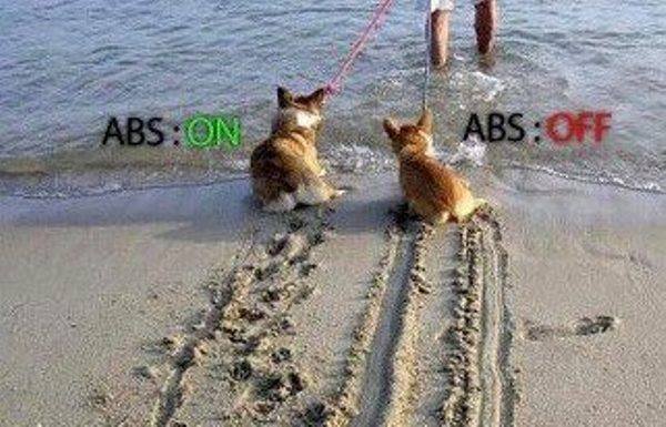 Name:  ABS_On_Off.jpg
Views: 1564
Size:  48.5 KB