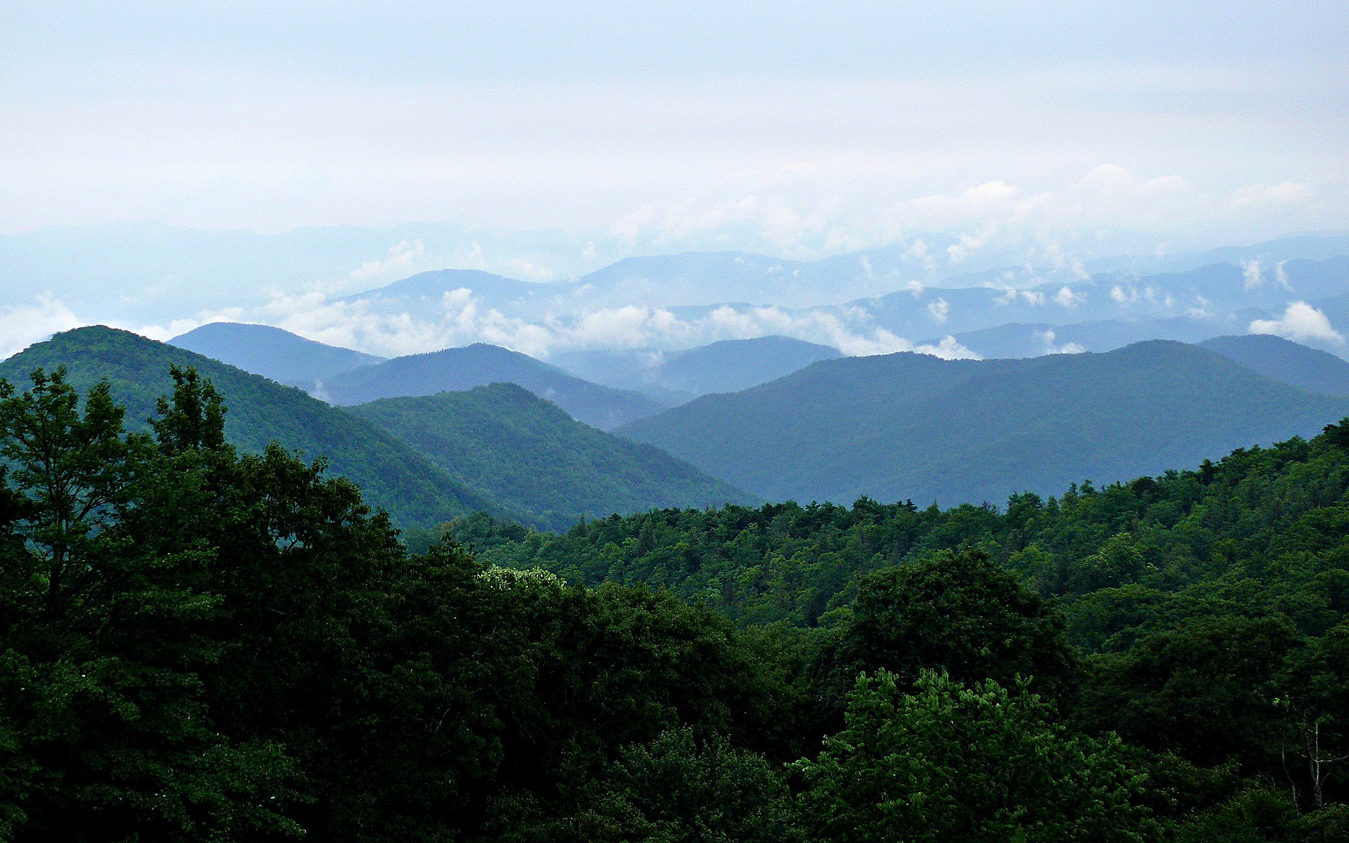 Name:  Rainy_Blue_Ridge-27527.jpg
Views: 8846
Size:  549.4 KB