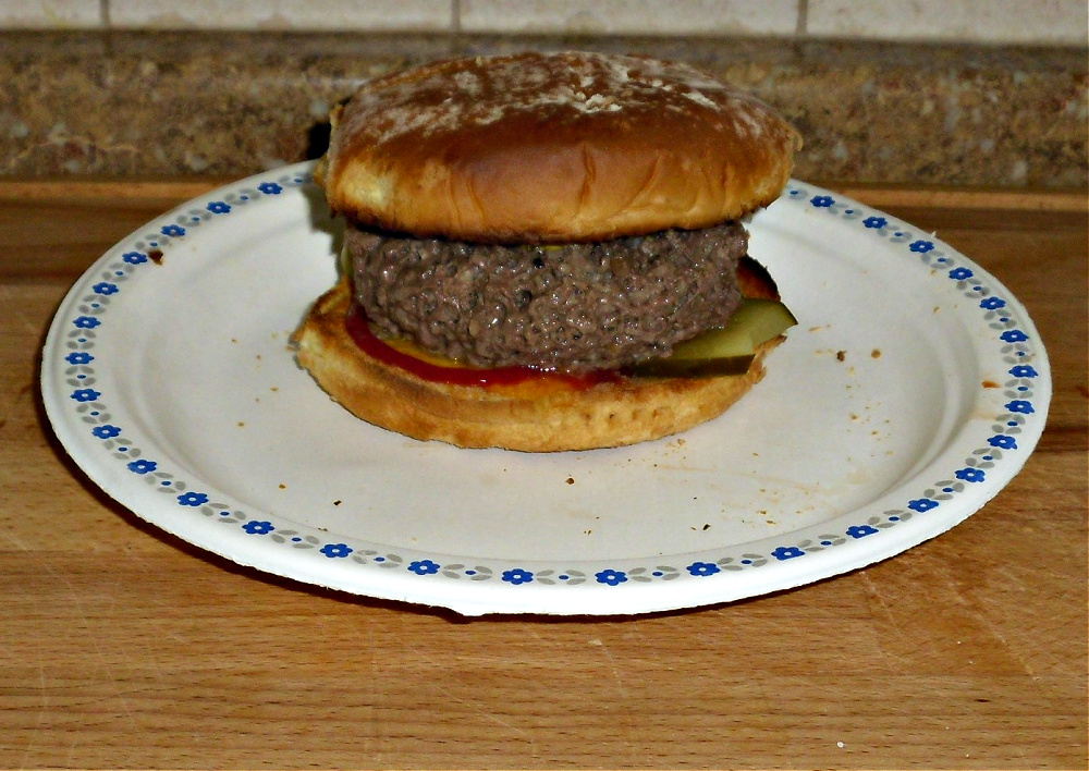 Name:  Chz burger..jpg
Views: 136
Size:  342.1 KB