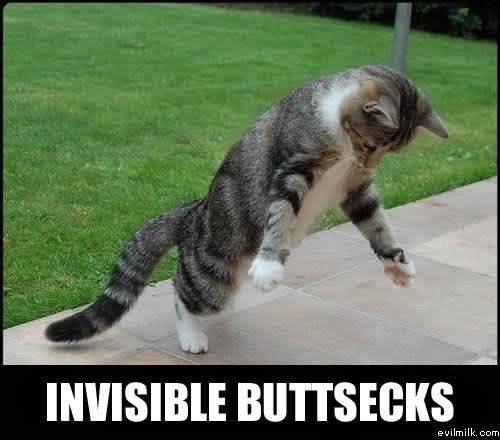 Name:  Invisible_buttsecks.jpg
Views: 23469
Size:  35.0 KB