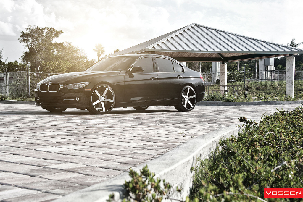 Name:  071-Vossen.jpg
Views: 20375
Size:  441.6 KB