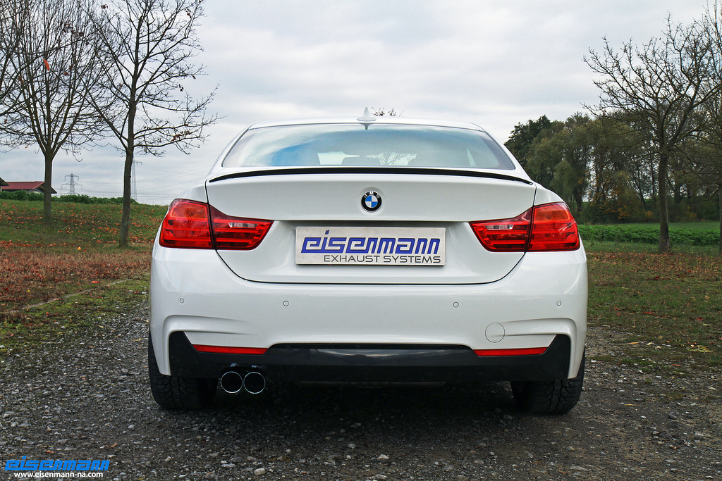 Name:  eisenmann_f32_4er_exhaust (1).jpg
Views: 6176
Size:  522.9 KB