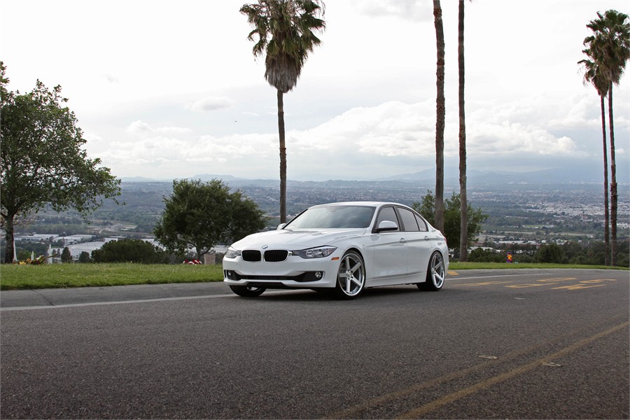 Name:  033-Stance.jpg
Views: 20313
Size:  142.5 KB