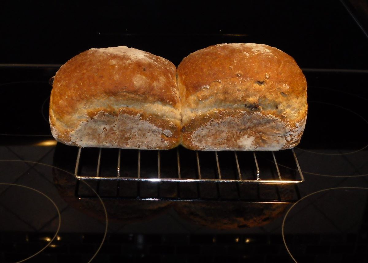 Name:  Bread..jpg
Views: 22
Size:  94.9 KB