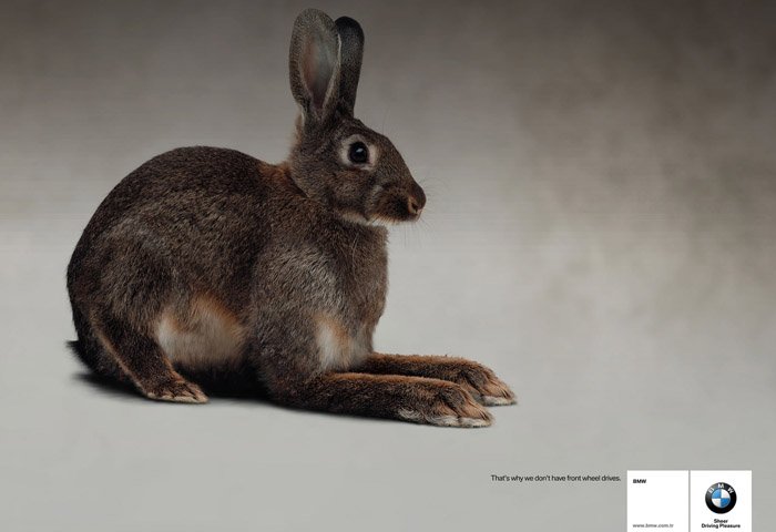 Name:  bmwrabbit-small.jpg
Views: 17295
Size:  68.9 KB