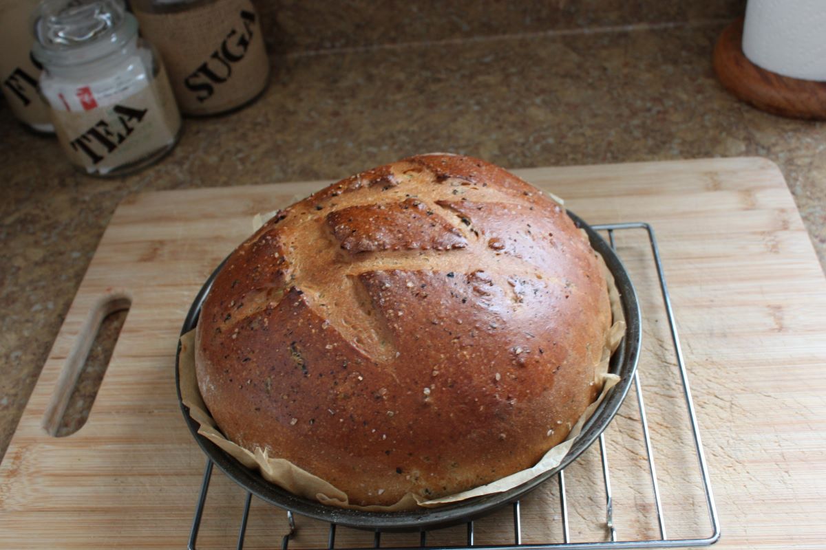 Name:  Olive bread 3.JPG
Views: 3218
Size:  130.0 KB