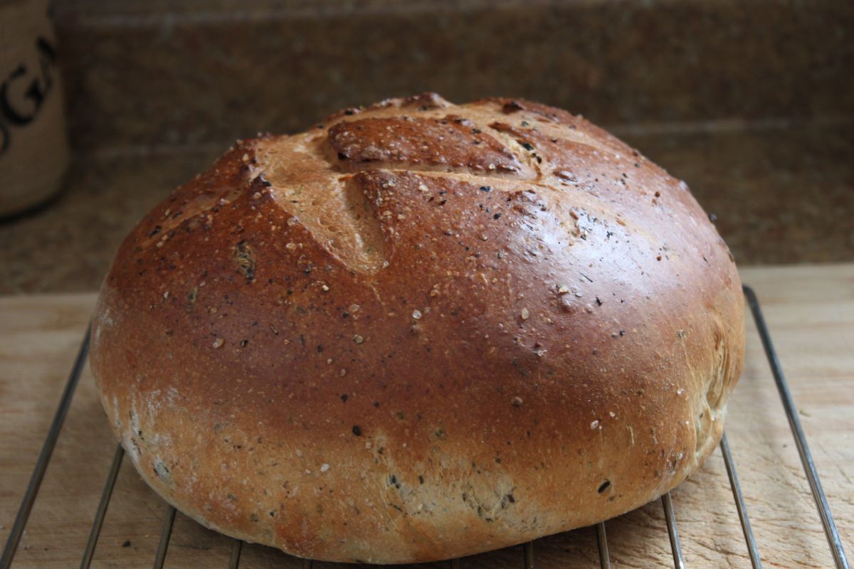 Name:  Olive bread 2.JPG
Views: 3187
Size:  118.8 KB