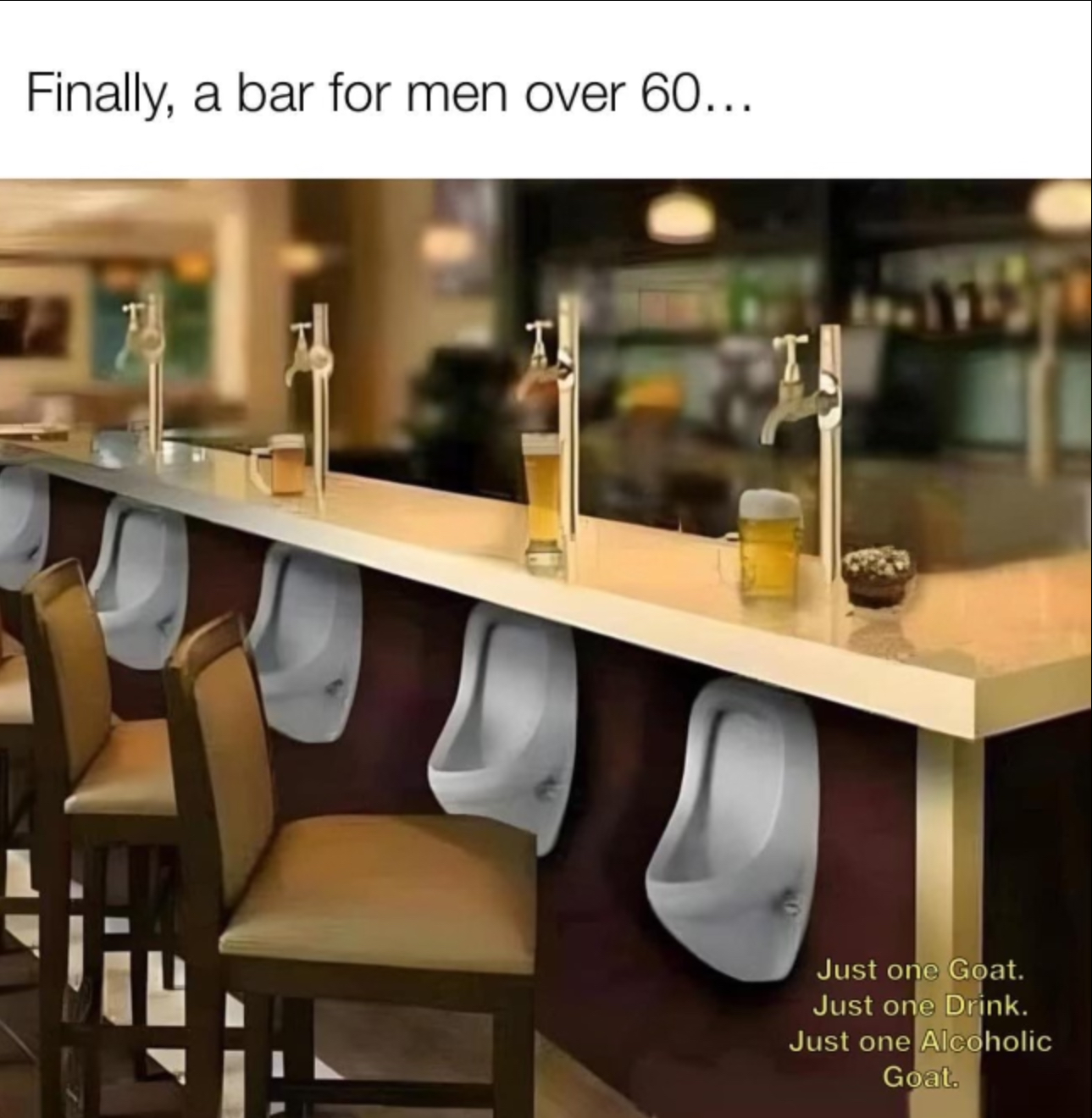 Name:  bar-urinals.jpg
Views: 504
Size:  848.4 KB