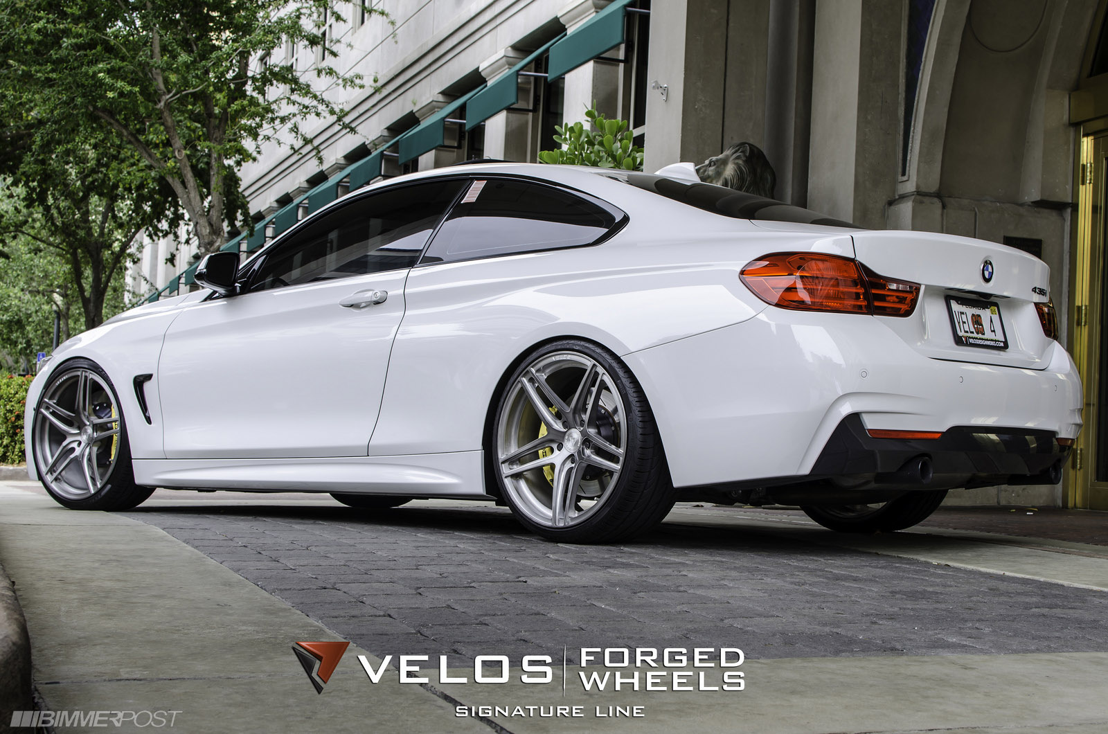 Name:  velos-435i-3.jpg
Views: 22189
Size:  403.5 KB