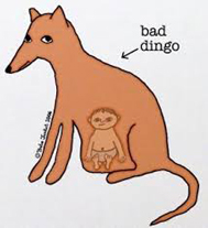 dingo ate my baby's Avatar