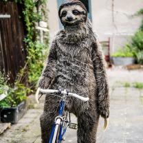 SlothsNTacos's Avatar